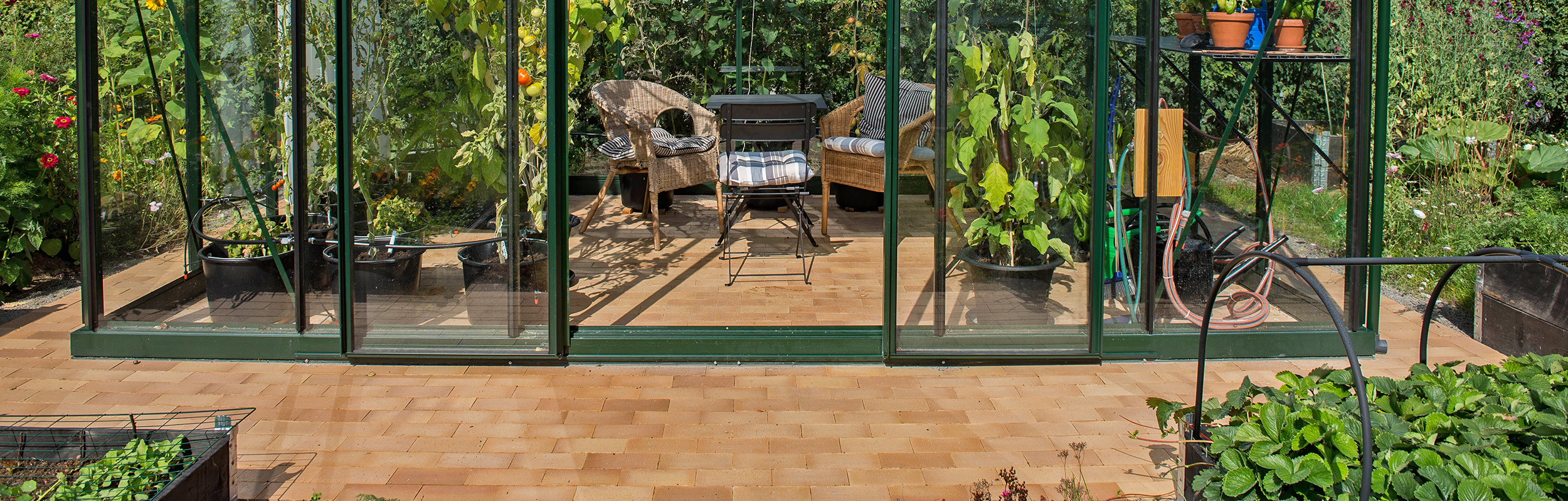 Gulmelerat marktegel i och utanför ett växthus